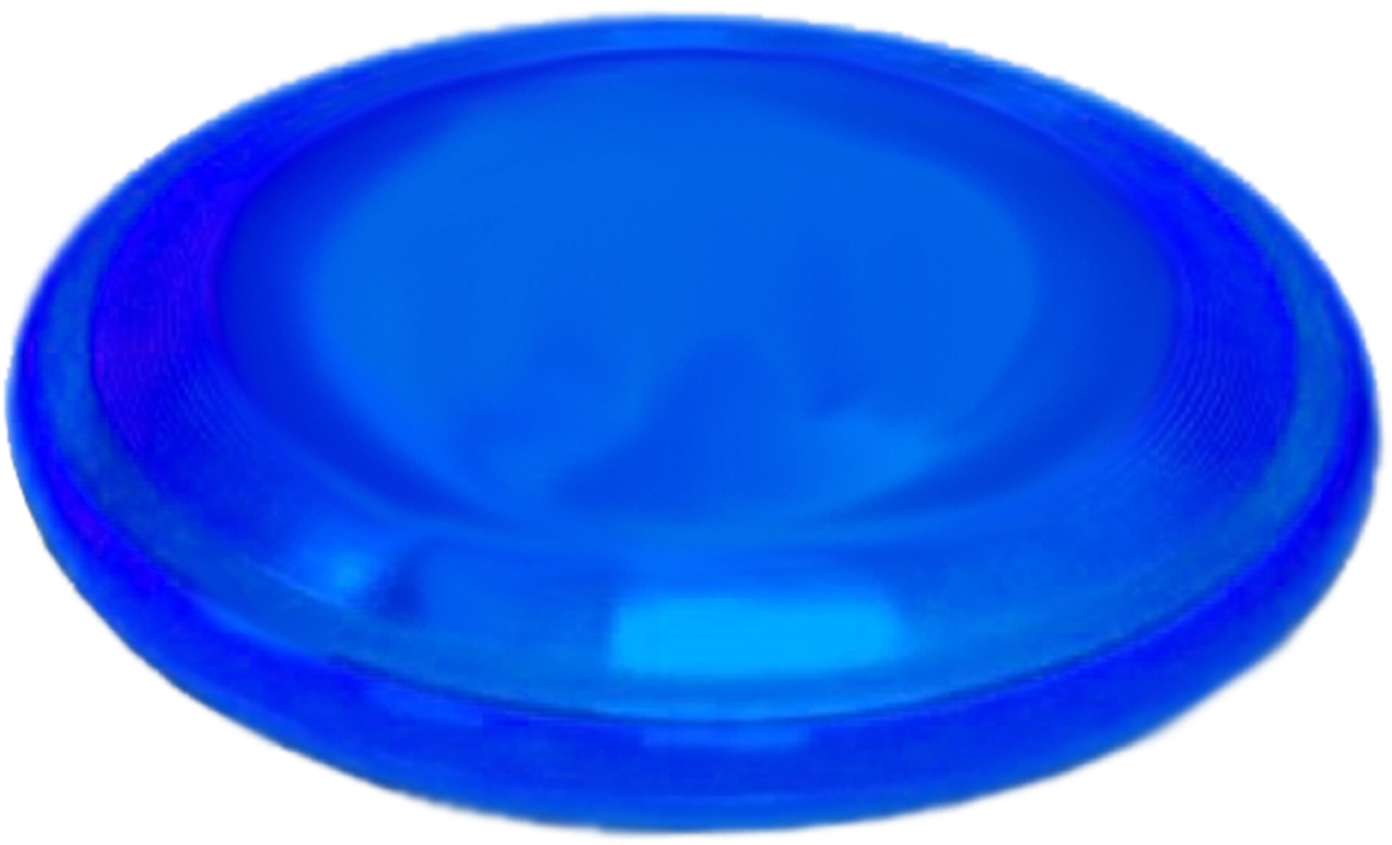 Blue Frisbee Image - Frisbee Png (1296x864)