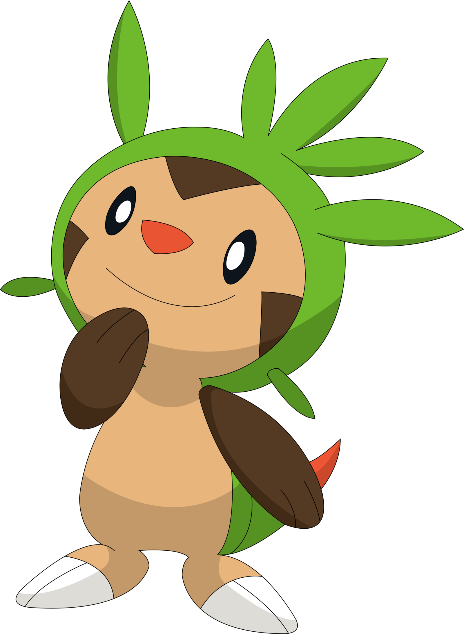 - Yahoo Image Search Results - Pokemon Chespin Png (1600x2184)