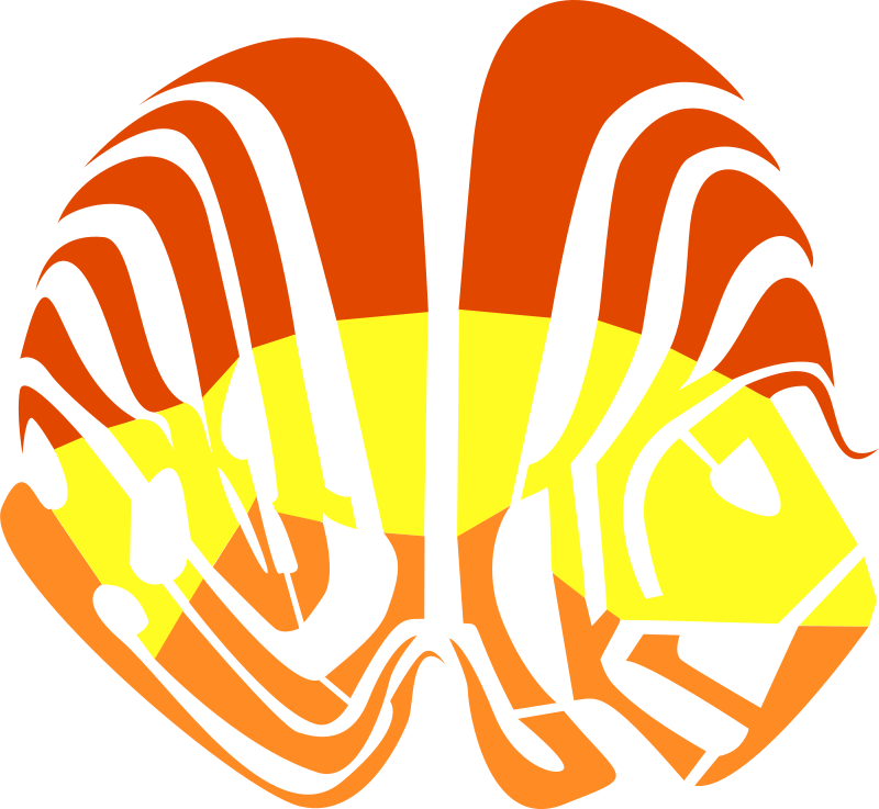 Free Flugi Lugi - Fish (800x737)