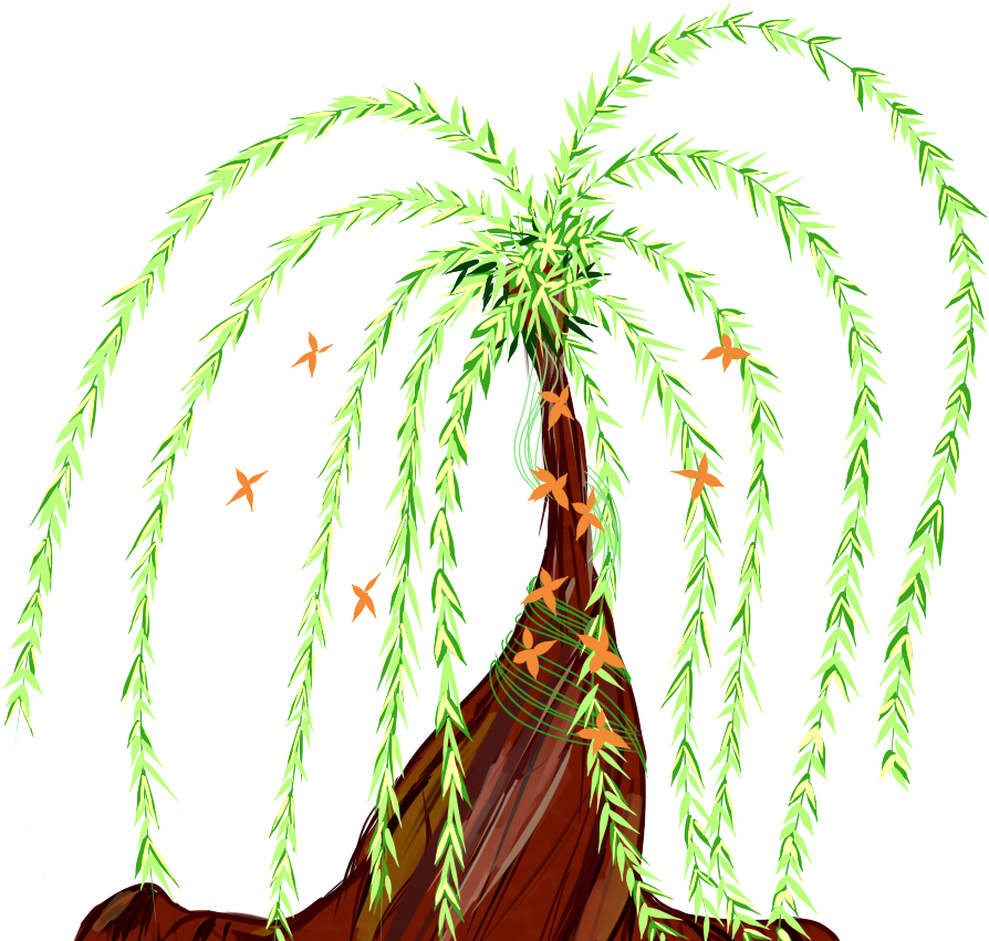 Weeping Willow Practice By Doodleknots Weeping Willow - Attalea Speciosa (955x955)