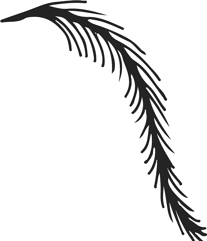 Weeping Willow Branch Rubber Stamp - Illustration (800x800)