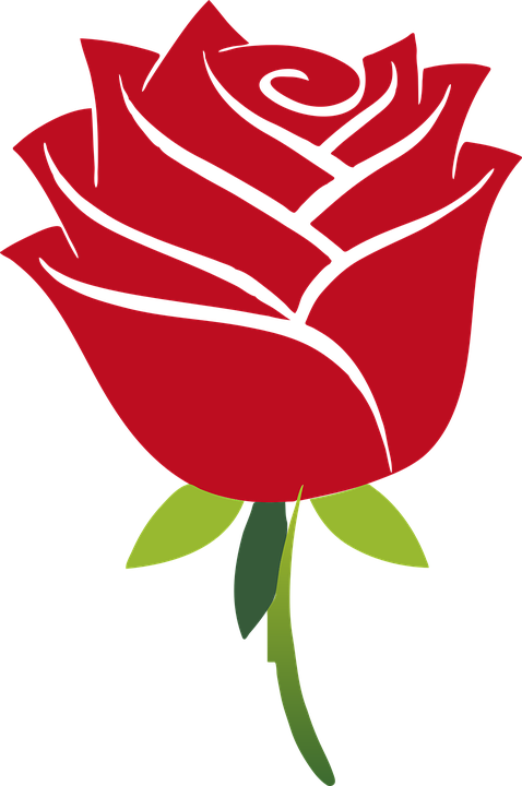 Art, Floral, Flower, Leaf, Leaves, Plant, Red, Rose - Beauty And The Beast Rose Svg (478x720)