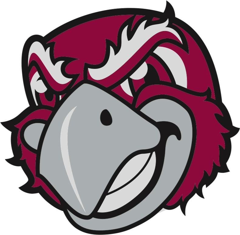 Roanoke College - Roanoke College Logo (796x777)