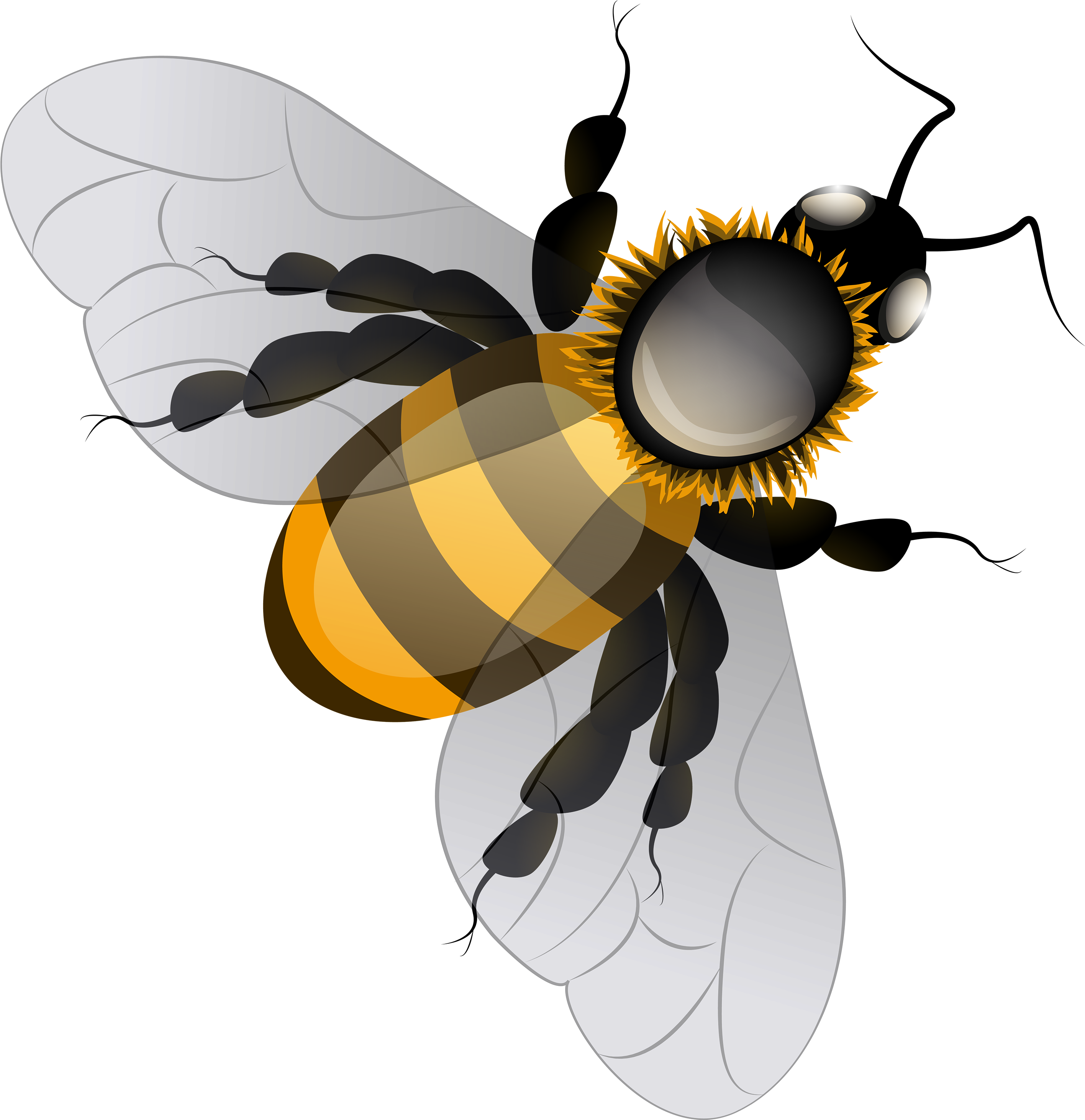 Bee Png Clip Art - Bee Png Clipart (2907x3000)