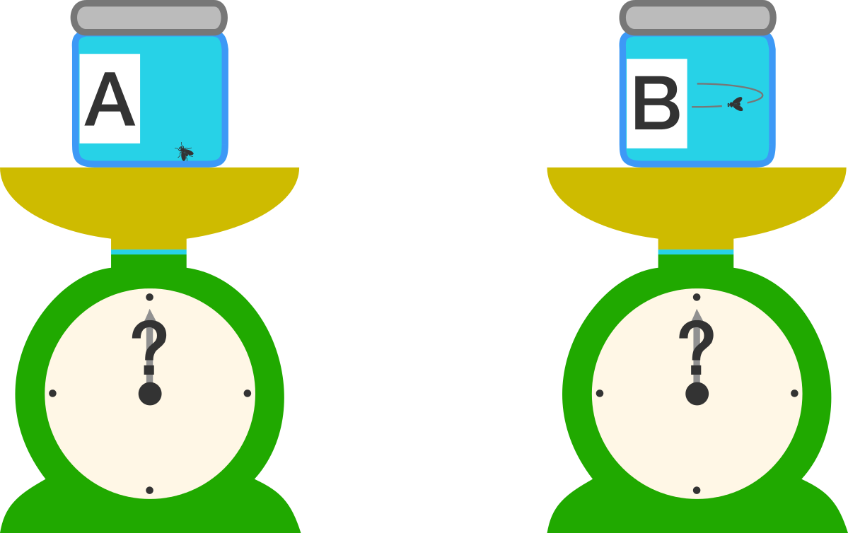 Two Identical Jars A A And B B Each Contain A Fruit - Circle (1199x754)