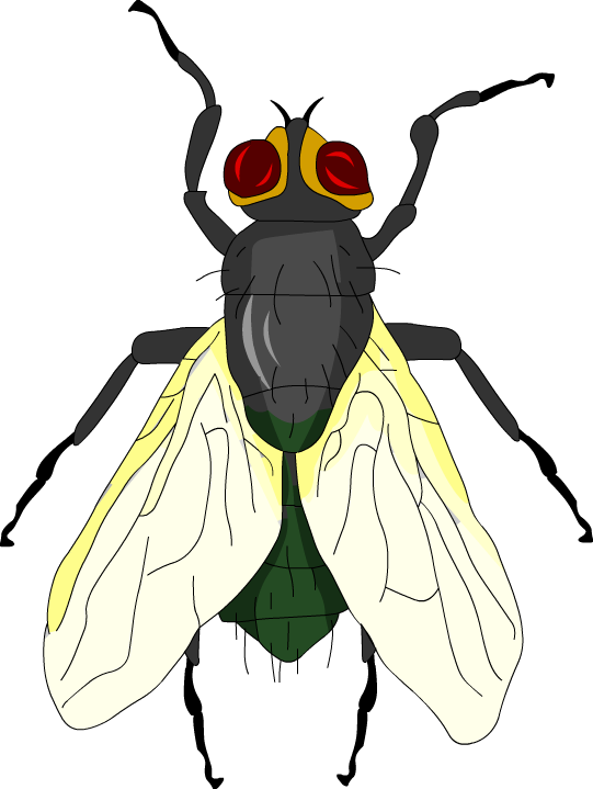 Below Is A Rendering Of The Page Up To The First Error - Bee (541x719)