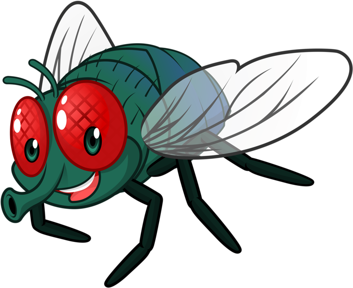 Cartoon Fly Clip Art - Fly Cartoon Png (800x645)