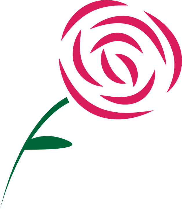 Rose Beauty Pink Â - Draw A Simple Rose (628x720)