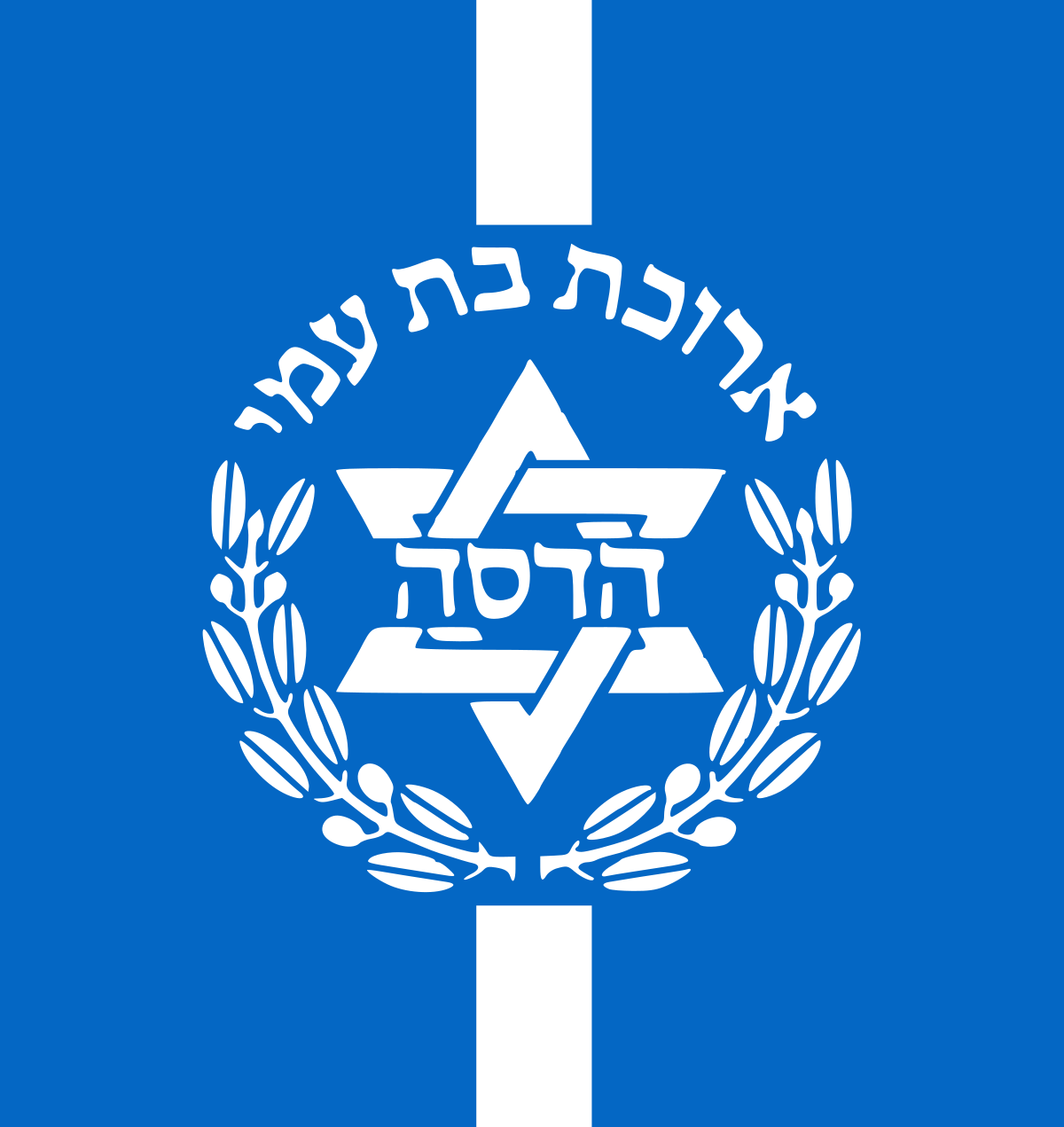 Hadassah Medical Center (1200x1271)