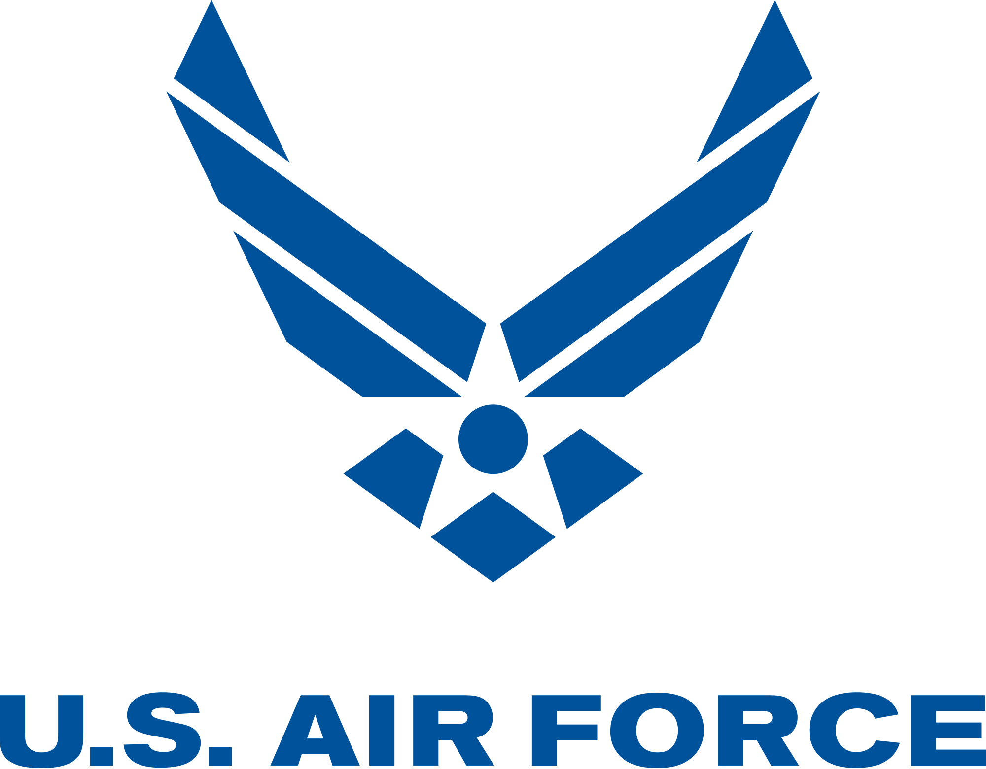 Emergency Services Physician - United States Air Force Logo (2000x1561)