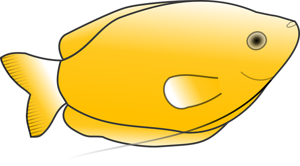 Animal Scale Cliparts - Clip Art Yellow Fish (1339x750)