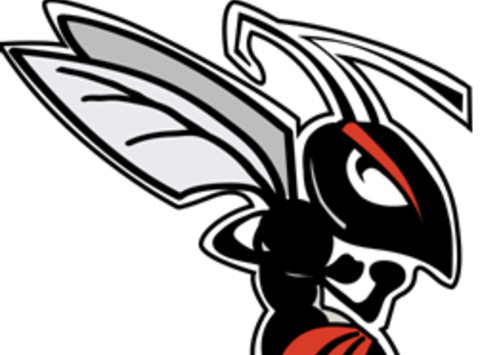 Stamford Collegiate Music - Music (480x355)