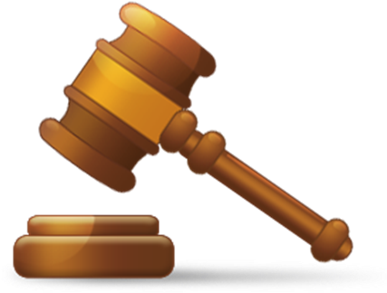 One Of Our Ambassadors, Hs Junior Elisabeth Chee, Is - Court Case (454x454)