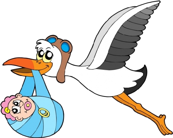 Pin Stork Carrying Baby Clipart - Stork Carrying Baby Png (600x600)