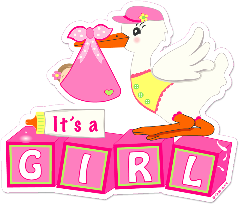 Stork With Baby Girl Download - Its A Girl Png (831x837)