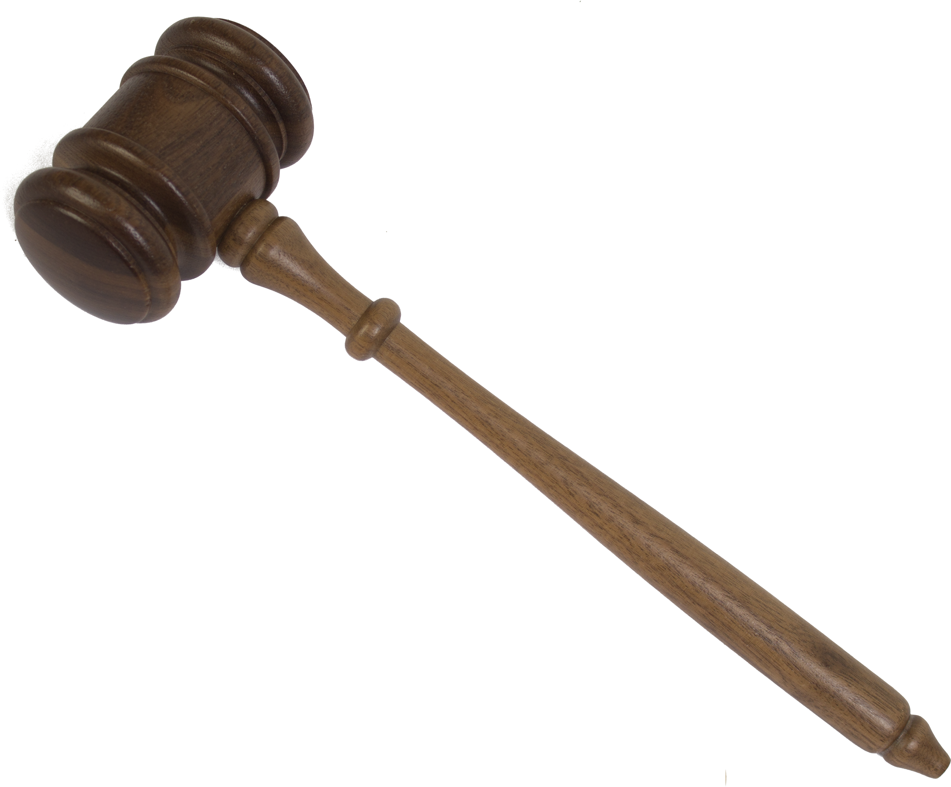 Jaime Long - Judge (3456x3456)