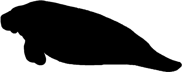 Manatee Clipart Black And White - Manatee Silhouette Vector Free (600x249)