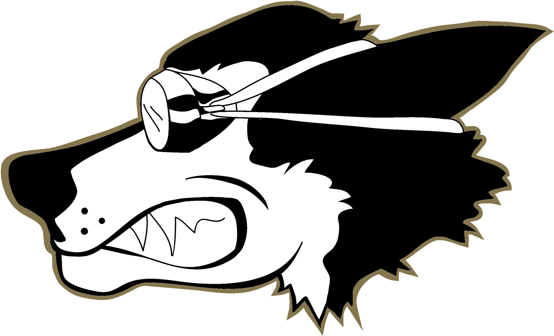 Husky Masters Swimming - United States Masters Swimming (2000x1206)