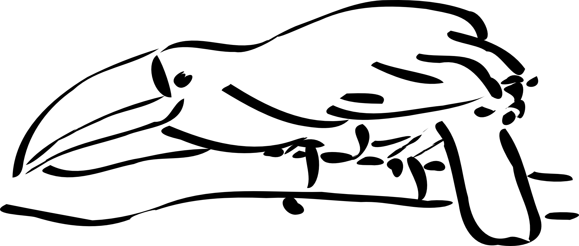 Toucan - Clipart - Black - And - White - Toucan Outline (1979x843)