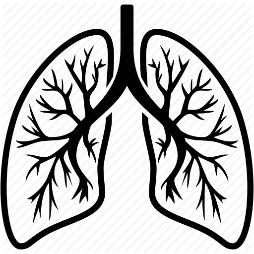 28 Collection Of Lungs Clipart Png - Lung Icon (512x512)