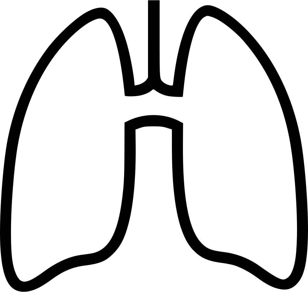 Lungs Png Transparent Images - Transparent Lung Outline (980x930)