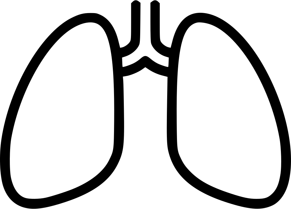 Lungs Breathing Chest X Ray Anatomy Tuberculosis Comments - Lung (980x702)