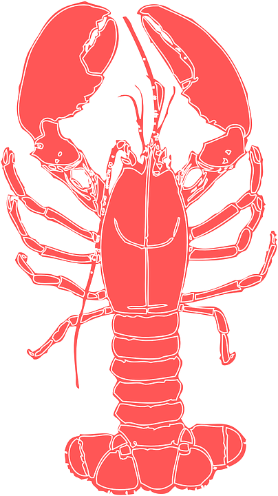 Cartoon Lobster 20, - Show Me The Lobster! - Cool Maine Lobster Graphic Framed (404x720)