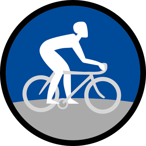 Cycling - Mystic Marriage Of Saint Catherine Of Alexandria (500x500)