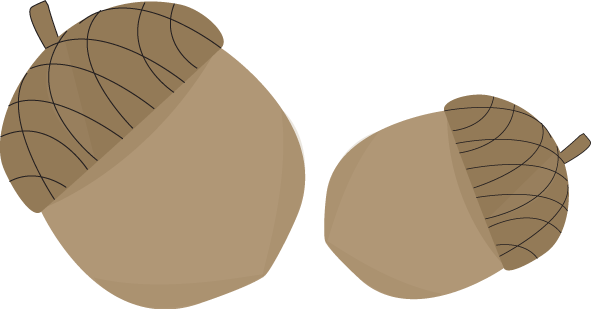 Two Acorns - Acorns Clip Art (591x309)
