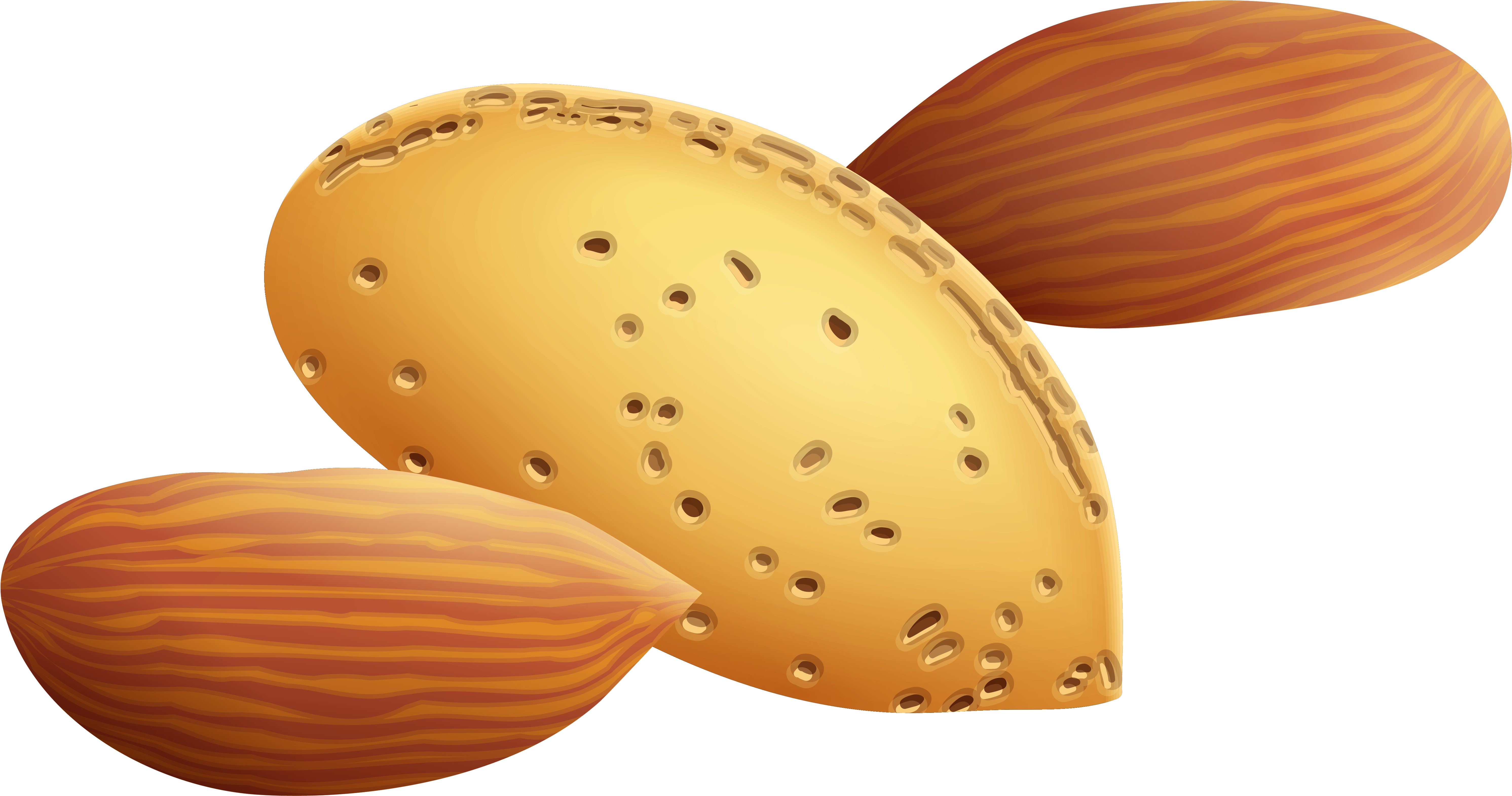 Almonds Png Clipart Picture - Clip Art Almond (6348x3518)