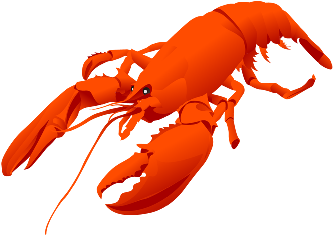 Cartoon Lobster Cofocolorhd Cliparts - Lobster Clipart (675x481)