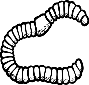 Worm Animal Insect Worm Worm Worm Worm Wor - Worm Black And White (355x340)
