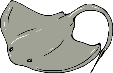 Stingray Clipart Transparent - Stingray Clipart (450x340)