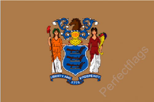 New Jersey Flag - New Jersey State Flag (500x500)