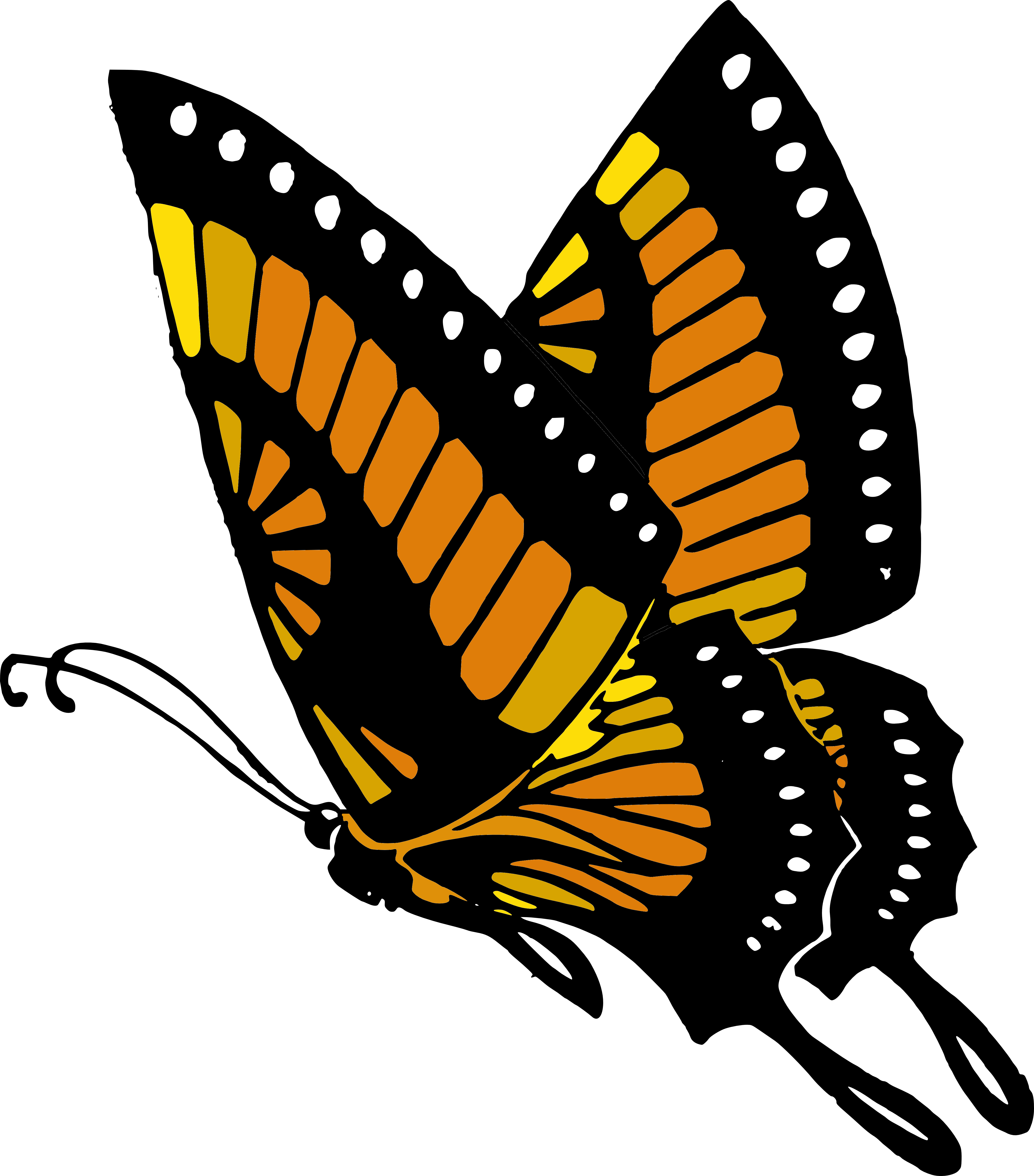 Flying Butterflies Png Transparent Image Png Mart - Color Yourself Healthy: A Mompositive Coloring Book (4579x5206)