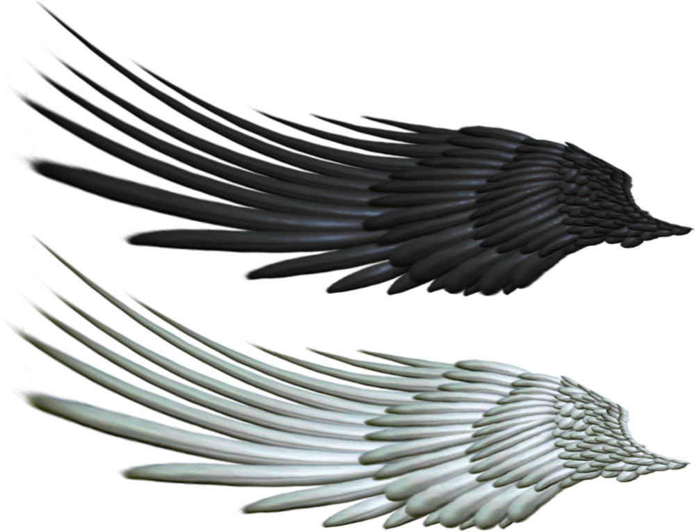 Good And Evil Angel Wing Png 2 By Thy Darkest Hour - Wing (1000x798)