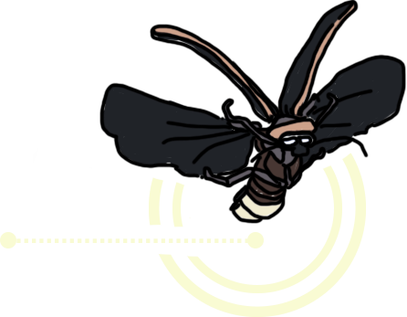 Watt, Why & How E-newsletter - Illustration (446x347)