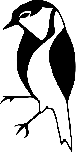 Feathers Silhouette, Little, Bird, Wings, Beak, Feathers - Bird Black And White (320x640)