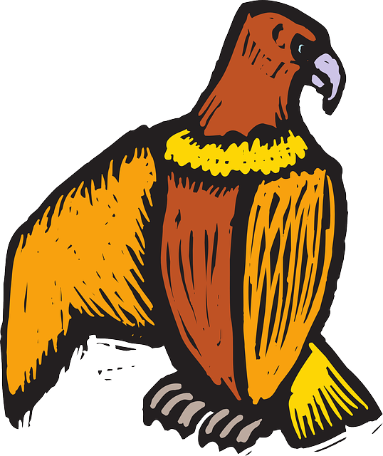 Scratch Eagle, Bird, Style, Wings, Art, Off, Beak, - Eagle (1077x1280)