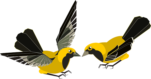 Birds, Fluttering, Animals, Yellow, Black, Wings - Fluttering Birds (640x335)