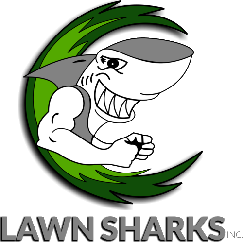 Call Lawn Sharks Inc - Square, Inc. (500x498)