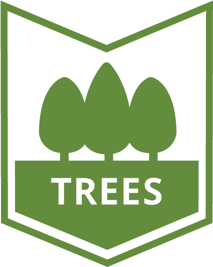 Before Your Trees Get Into The Full Swing Of Things, - Illustration (517x601)