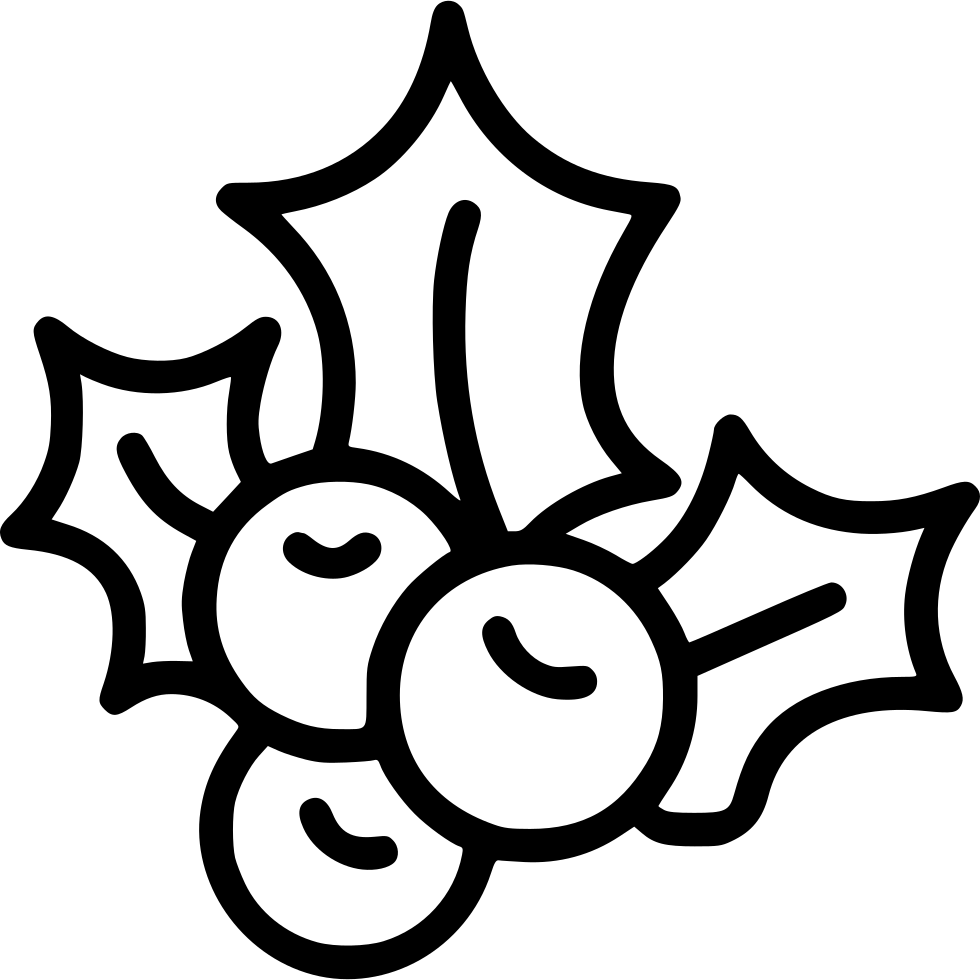Mistletoe Svg Png Icon Free Download - Mistletoe Icon (980x980)