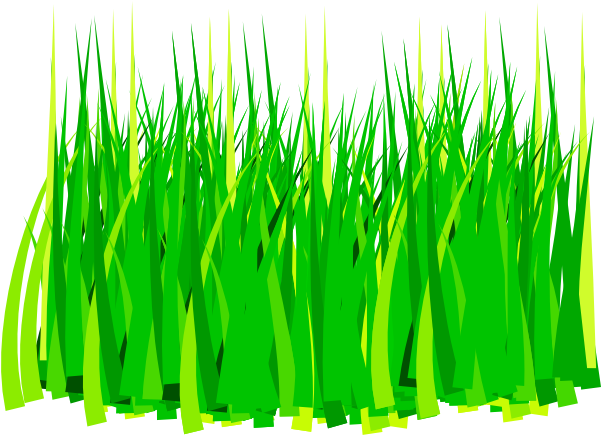 Grass 3 Clip Art - Grass Clip Art (600x518)