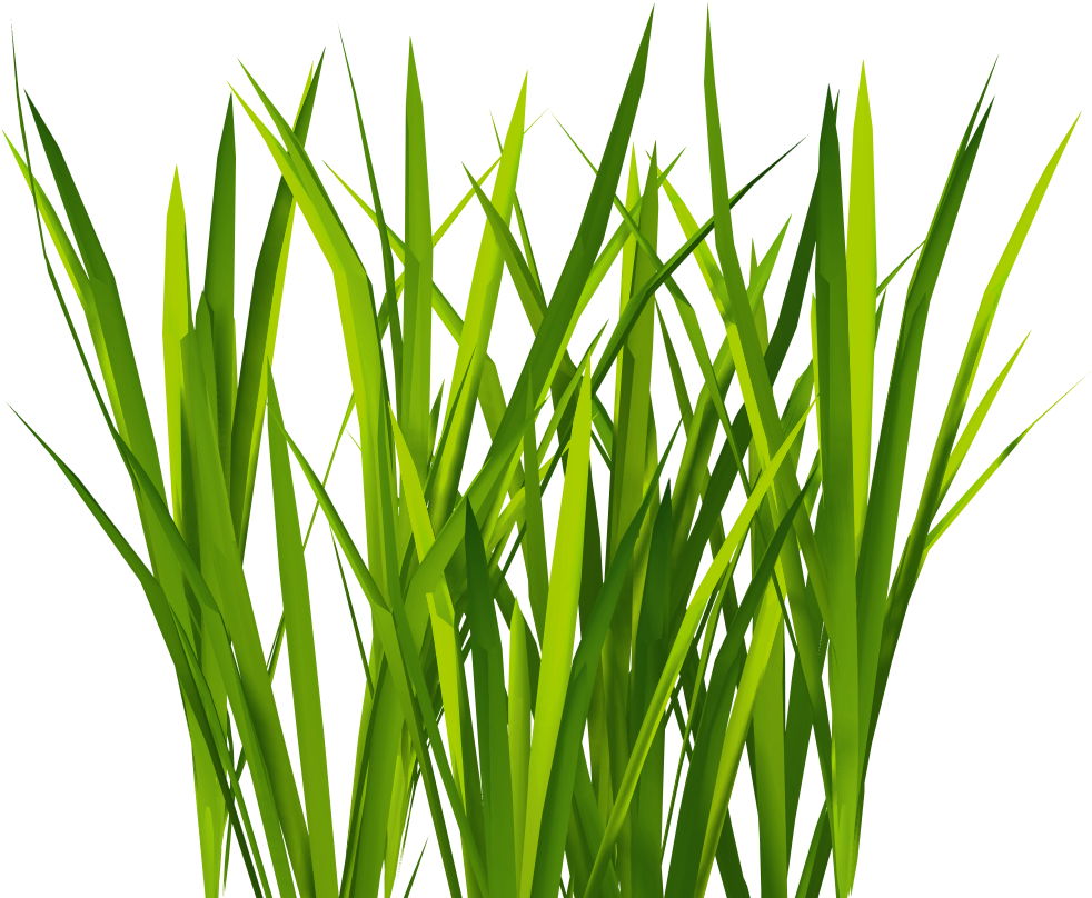 New Textures Billboard Grass - Grass For Unity (1024x1024)