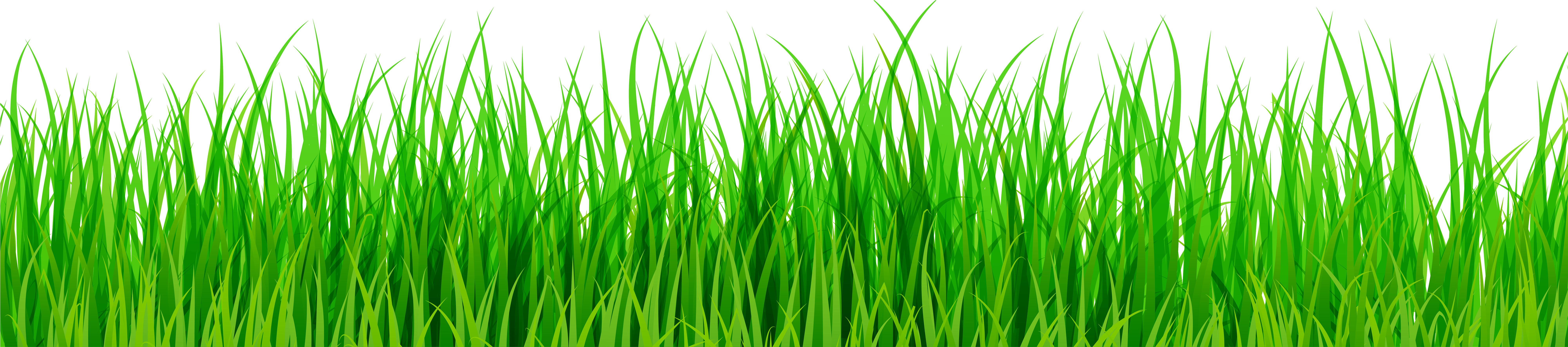 Green Grass Png Clip Art - Grass Clipart Png (8000x2006)