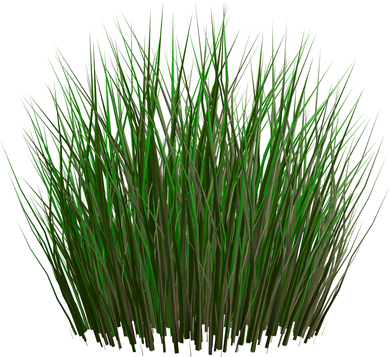 Digital Collaboration - Grass Texture Png (1600x1465)