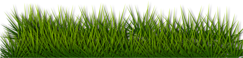 Background Border Grass Green Herb Landsca - Grass Floor Png (800x566)