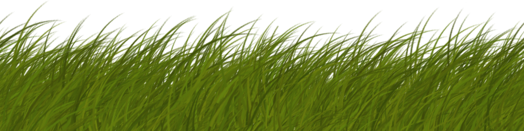 Vegetation Grass Card 03 - Grass Texture Side View (1024x256)