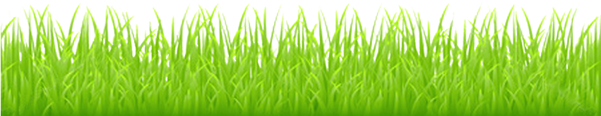 For This Example I Will Use This - Cartoon Grass Transparent Background -  (850x206) Png Clipart Download